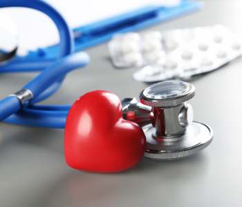Nurturing Cardiovascular Health Throughout Heart Month