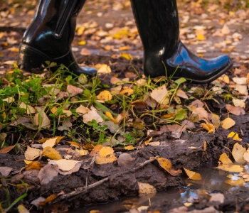 Stay Safe and Enjoy Fall with These Outdoor Safety Tips